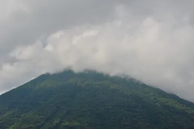 DSC_3916 (Large).JPG